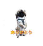 癒やしのペット（個別スタンプ：4）