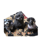 癒やしのペット（個別スタンプ：8）