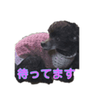 癒やしのペット（個別スタンプ：23）