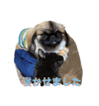 癒やしのペット（個別スタンプ：32）