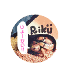 リクガメのリクさん（個別スタンプ：5）
