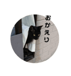 チャコと月の写真スタンプ（個別スタンプ：4）
