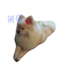 葉月すたんぷ（個別スタンプ：2）