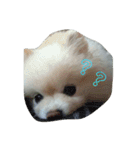 葉月すたんぷ（個別スタンプ：3）