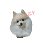 葉月すたんぷ（個別スタンプ：5）