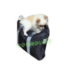 葉月すたんぷ（個別スタンプ：6）