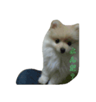 葉月すたんぷ（個別スタンプ：8）