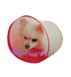 葉月すたんぷ（個別スタンプ：14）