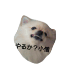 葉月すたんぷ（個別スタンプ：15）