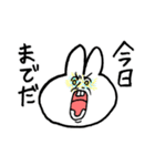 ojisan face rabbit2（個別スタンプ：11）