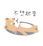 にっぽんしばけん Ver.1（個別スタンプ：12）