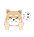 にっぽんしばけん Ver.1（個別スタンプ：15）