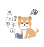 沖縄の恋ダルマ（個別スタンプ：26）