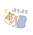 沖縄の恋ダルマ（個別スタンプ：34）