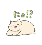 ねこのにゃーさんスタンプ（個別スタンプ：11）