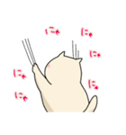 ねこのにゃーさんスタンプ（個別スタンプ：12）