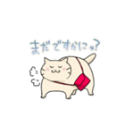 ねこのにゃーさんスタンプ（個別スタンプ：29）