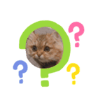 こねこのむーしゃのすたんぷ（個別スタンプ：4）