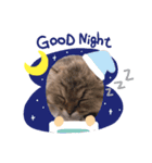 こねこのむーしゃのすたんぷ（個別スタンプ：7）
