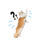 てとくん( ˆoˆ )/（個別スタンプ：6）