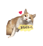 てとくん( ˆoˆ )/（個別スタンプ：8）