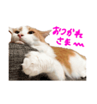 てとくん( ˆoˆ )/（個別スタンプ：9）
