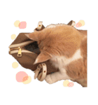 てとくん( ˆoˆ )/（個別スタンプ：23）
