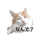 てとくん( ˆoˆ )/（個別スタンプ：38）