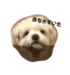 クオンとソラ（個別スタンプ：13）