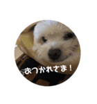クオンとソラ（個別スタンプ：16）