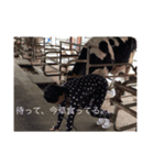 はすみんpart1（個別スタンプ：2）