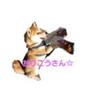 柴犬HELLOダゼ（個別スタンプ：5）