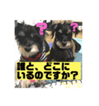 つくね＆うずら第2弾（個別スタンプ：7）