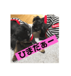 つくね＆うずら第2弾（個別スタンプ：8）
