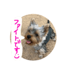 ぺろすたんぷ 190226（個別スタンプ：18）