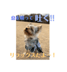 ぺろすたんぷ 190226（個別スタンプ：22）