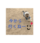 ぺろすたんぷ 190226（個別スタンプ：25）