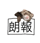 フェレさんすたんぷ（個別スタンプ：6）