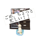 わんこスタンプ コップちゃん（個別スタンプ：7）