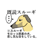 犬好きのためのダジャレスタンプ（個別スタンプ：17）