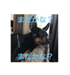 るぅくろとら（個別スタンプ：3）