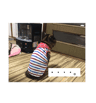 るぅくろとら（個別スタンプ：6）