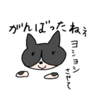 まいにちとことこ 2（個別スタンプ：15）