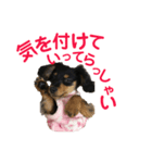 ぶらっくたんたん★カニンヘン★Vol.1（個別スタンプ：4）