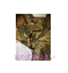 まろんスタンプNO．2（個別スタンプ：8）