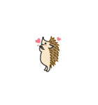 ハリネズミ 1（個別スタンプ：2）