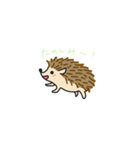 ハリネズミ 1（個別スタンプ：6）