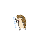 ハリネズミ 1（個別スタンプ：8）
