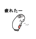 ハクとコハクの日常（個別スタンプ：8）
