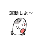 ハクとコハクの日常（個別スタンプ：39）